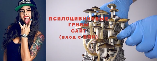 спайс Белокуриха