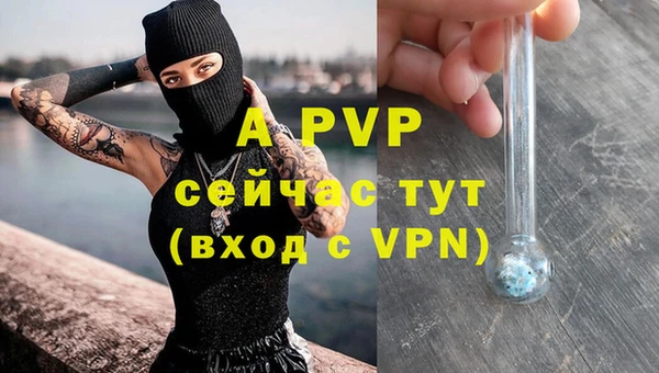 спайс Белокуриха