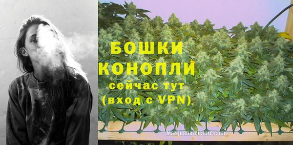 стаф Белоозёрский