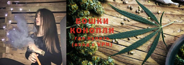 стаф Белоозёрский