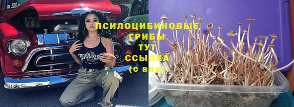 спайс Белокуриха