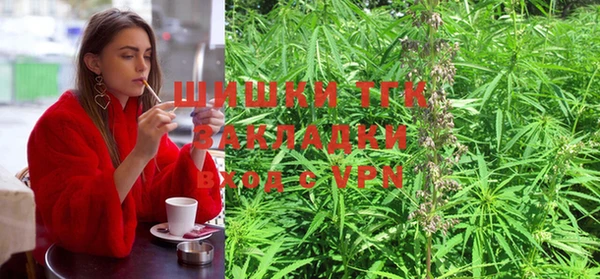 стаф Белоозёрский